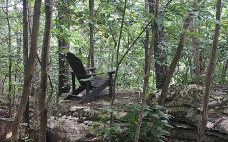 Adirondack chair in forest